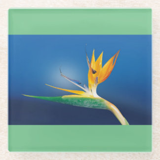 Bird of Paradise Glass Coaster
