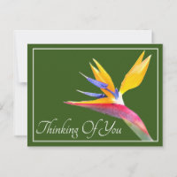 Bird Of Paradise Green Background Thinking Of You