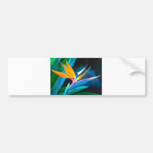 Bird Of Paradise (Hawaii) Bumper Sticker