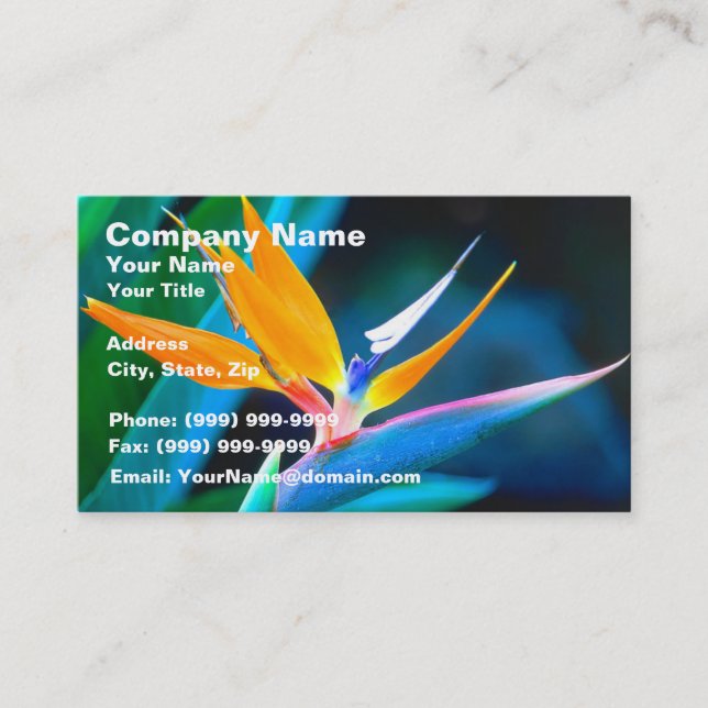 Bird Of Paradise (Hawaii) Business Card (Front)