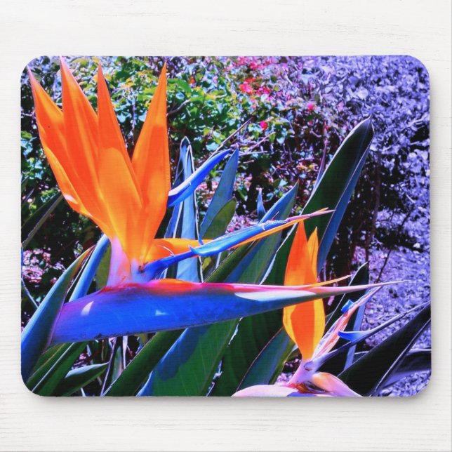 Bird of Paradise Hawaii Mouse Mat (Front)