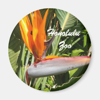Bird of Paradise, Honolulu Zoo Magnet