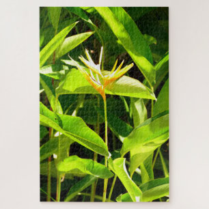 Bird of Paradise Jigsaw Puzzle