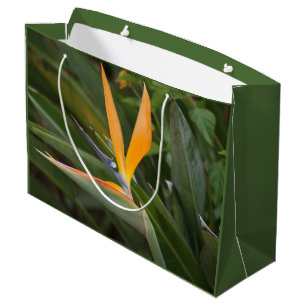 Bird of Paradise Large Gift Bag