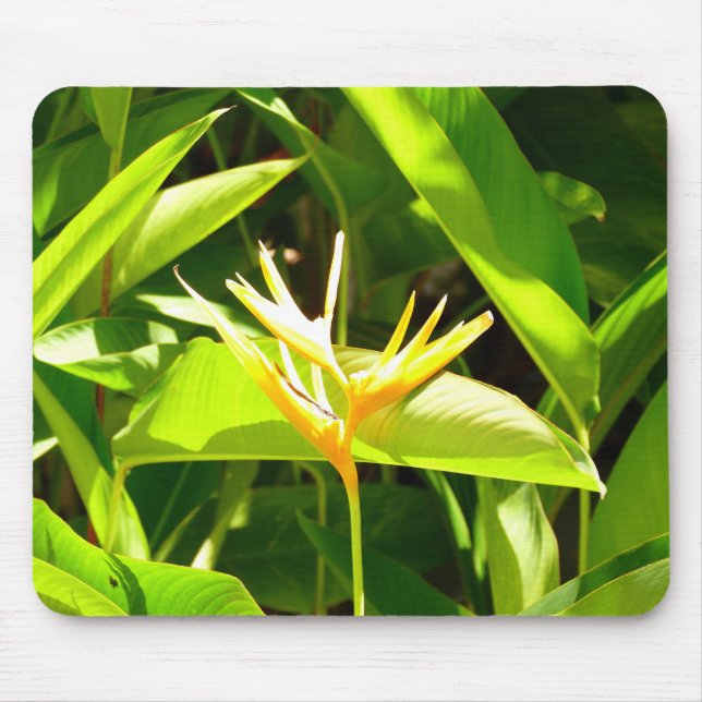 Bird of Paradise Mouse Mat (Front)