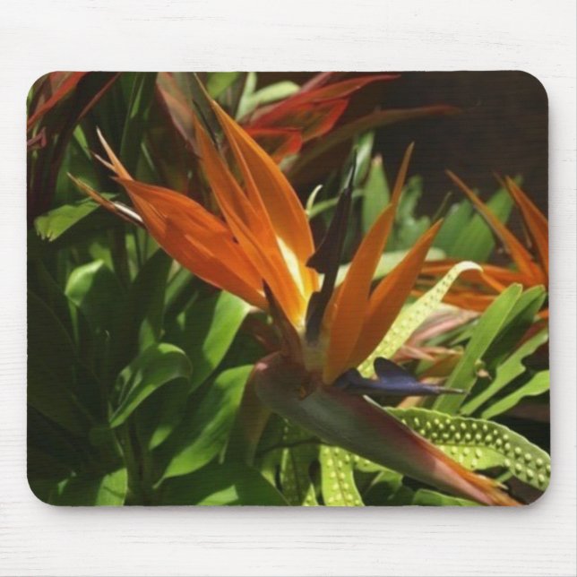 Bird of paradise mouse mat (Front)