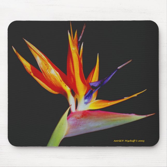 Bird of Paradise Mousepad (Front)