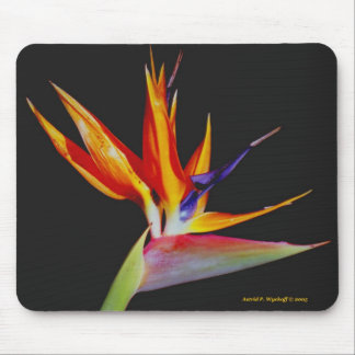 Bird of Paradise Mousepad