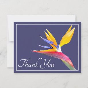 Bird Of Paradise Navy Background Thank You Postcard