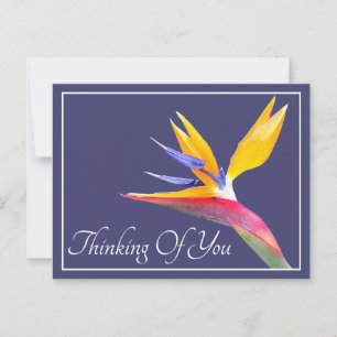 Bird Of Paradise Navy Background Thinking Of You Postcard