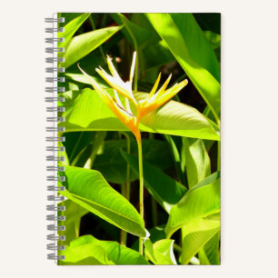 Bird of Paradise Notebook