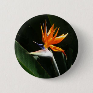 Bird of Paradise Orange Tropical Flower 6 Cm Round Badge
