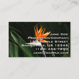 Bird of Paradise Orange Tropical Flower Business Card