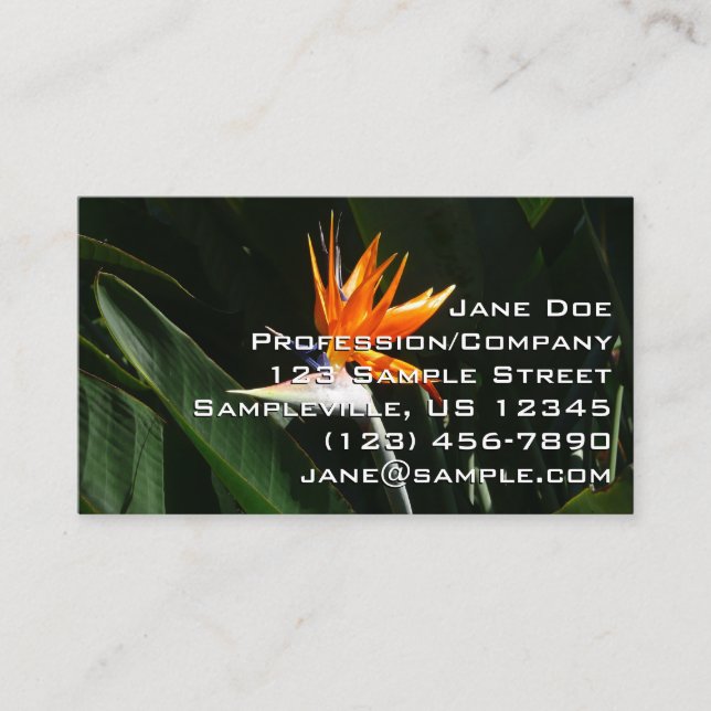 Bird of Paradise Orange Tropical Flower Business Card (Front)