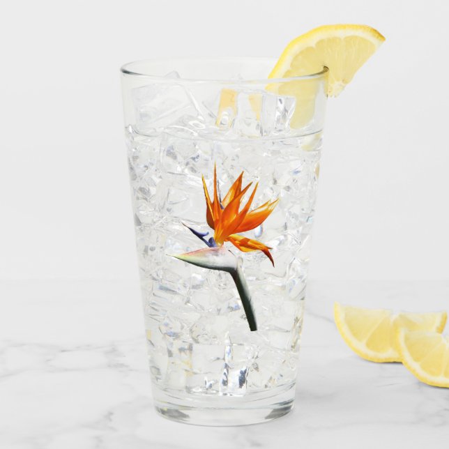 Bird of Paradise Orange Tropical Flower Glass (Back Ice)