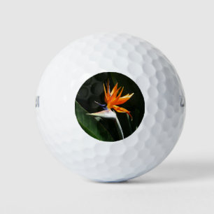 Bird of Paradise Orange Tropical Flower Golf Balls