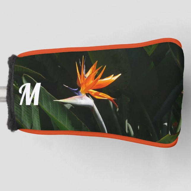 Bird of Paradise Orange Tropical Flower Golf Head Cover (Front)
