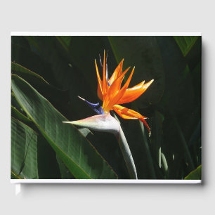 Bird of Paradise Orange Tropical Flower Guest Book