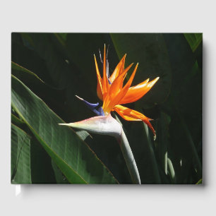 Bird of Paradise Orange Tropical Flower Guest Book