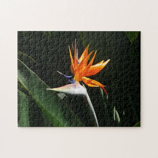 Bird of Paradise Orange Tropical Flower Jigsaw Puzzle (Horizontal)
