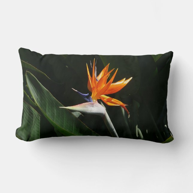 Bird of Paradise Orange Tropical Flower Lumbar Cushion (Front)