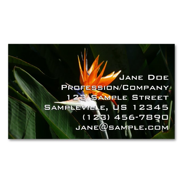 Bird of Paradise Orange Tropical Flower Magnetic Business Card (Front)