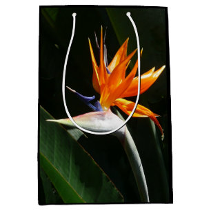 Bird of Paradise Orange Tropical Flower Medium Gift Bag
