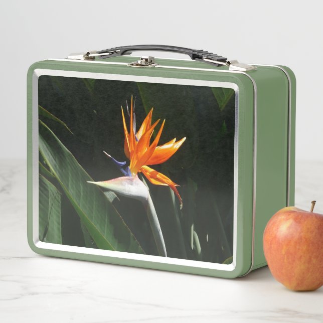 Bird of Paradise Orange Tropical Flower Metal Lunch Box (In Situ)
