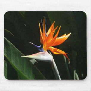 Bird of Paradise Orange Tropical Flower Mouse Mat