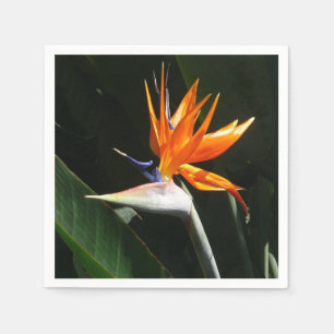 Bird of Paradise Orange Tropical Flower Napkin