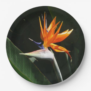 Bird of Paradise Orange Tropical Flower Paper Plate