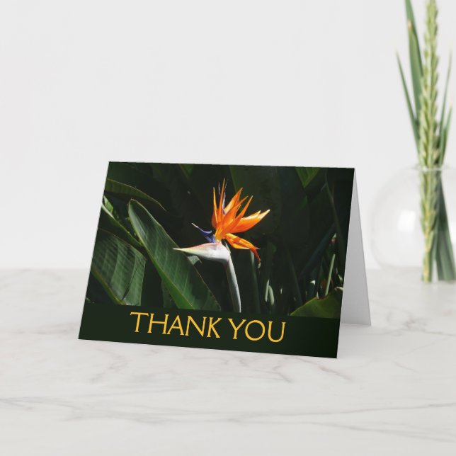 Bird of Paradise Orange Tropical Flower Thank You Card (Front)