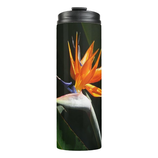 Bird of Paradise Orange Tropical Flower Thermal Tumbler (Front)