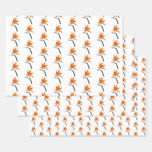 Bird of Paradise Orange Tropical Flower Wrapping Paper Sheet