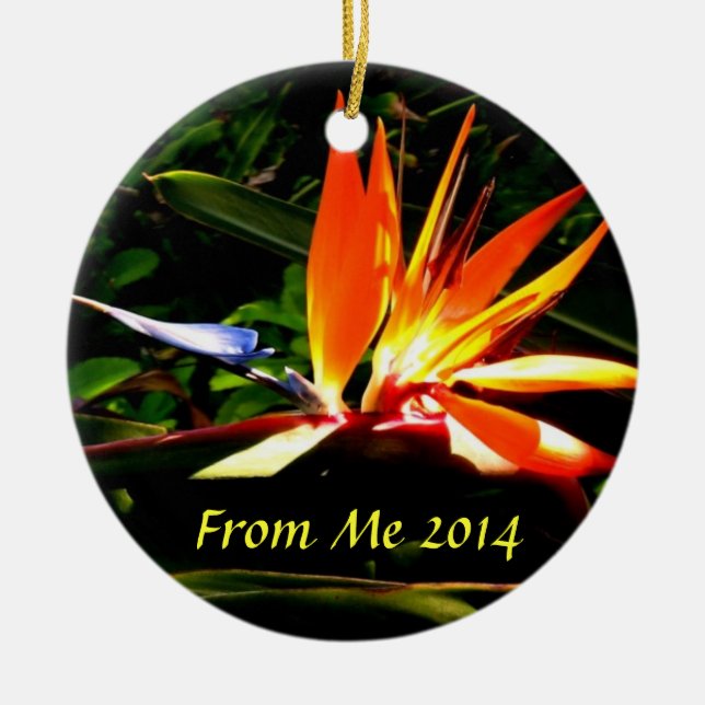 Bird of Paradise Ornament  II (Front)