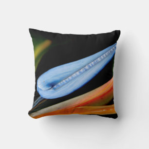 Bird of Paradise Photo Cushion