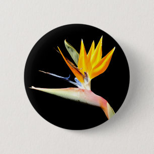 Bird of Paradise Plant Badge