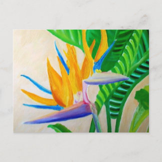 Bird of Paradise Postcard