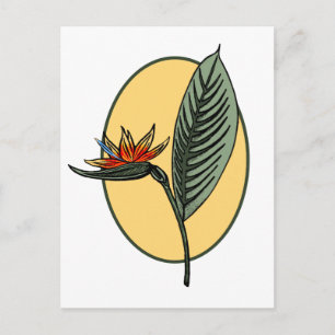 Bird of Paradise Postcard