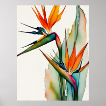 BIRD OF PARADISE Poster