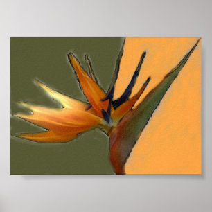 Bird of Paradise Print