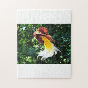 Bird-of-Paradise Puzzle