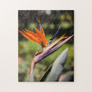 Bird of Paradise Puzzle