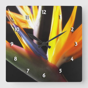 Bird of Paradise Round Clock