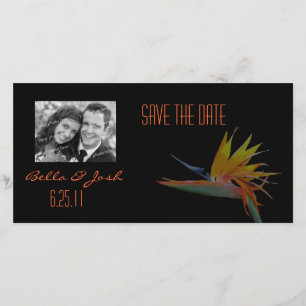 Bird of Paradise Save the Date Photo Card