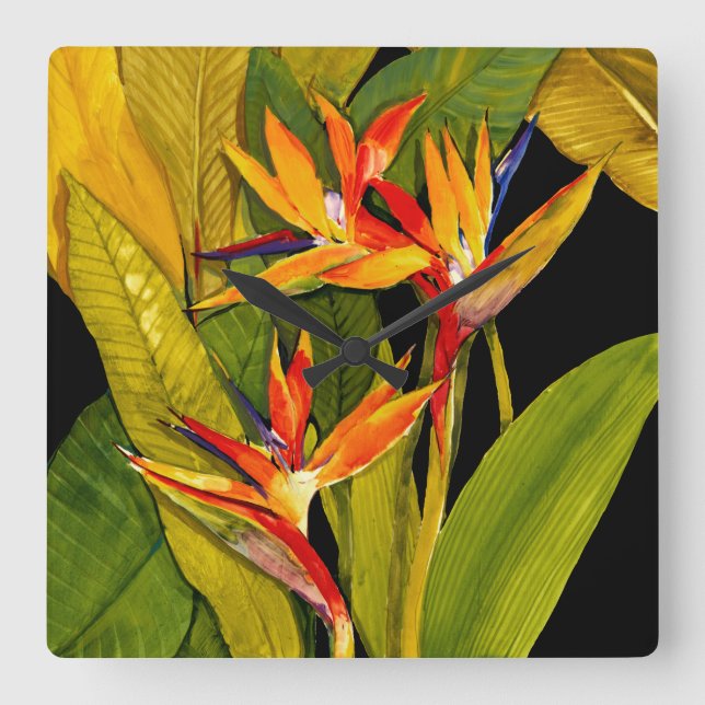 Bird of Paradise Square Wall Clock (Front)