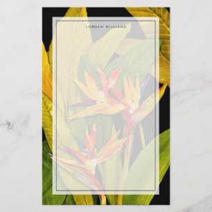 Bird of Paradise Stationery