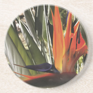Bird of Paradise (Strelitzia) Coaster