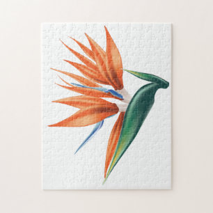 Bird of paradise, strelitzia exotic flower jigsaw puzzle