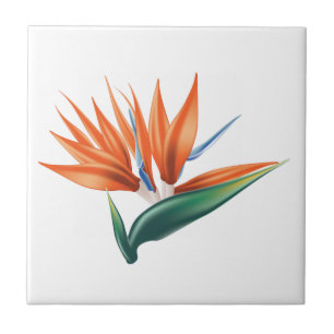 Bird of paradise, strelitzia exotic flower tile